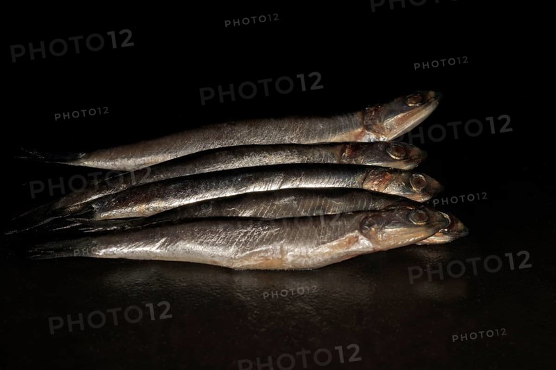 Anchovies