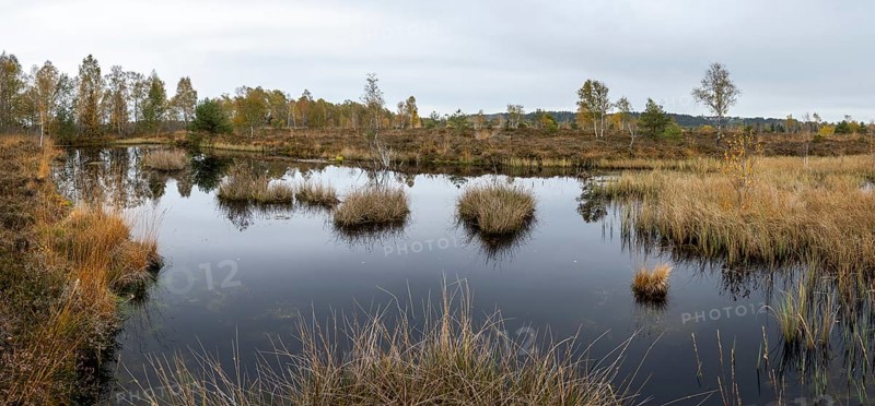 Autumn in the Kendlmuehlfilzen high moor