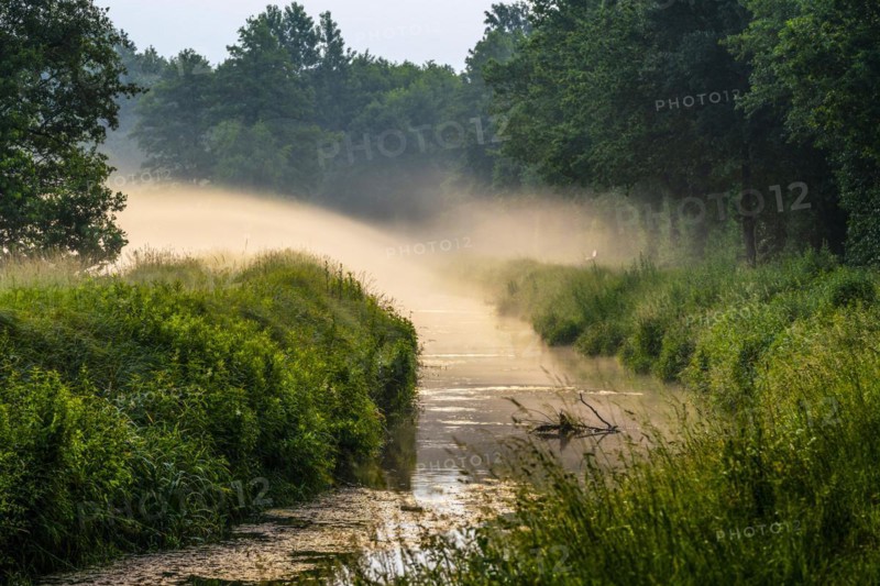 Morning fog over the Ems in the Ems lowlands near Rietberg