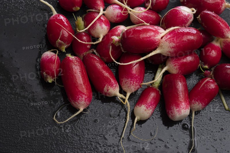 Radish