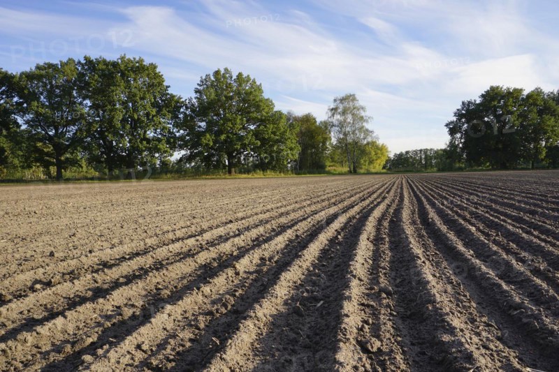 Grooves on a field. Germany