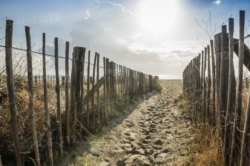 Path to the beach