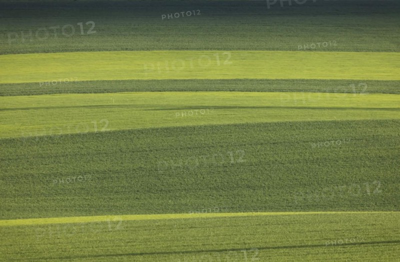 Agriculture fields in spring near Neckarwestheim