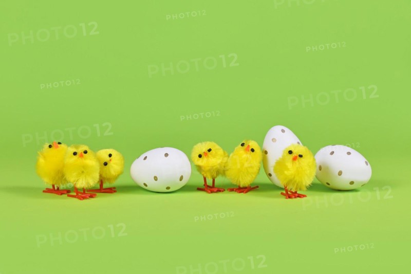 Decorative small easter chickens and eggs in a row on green background