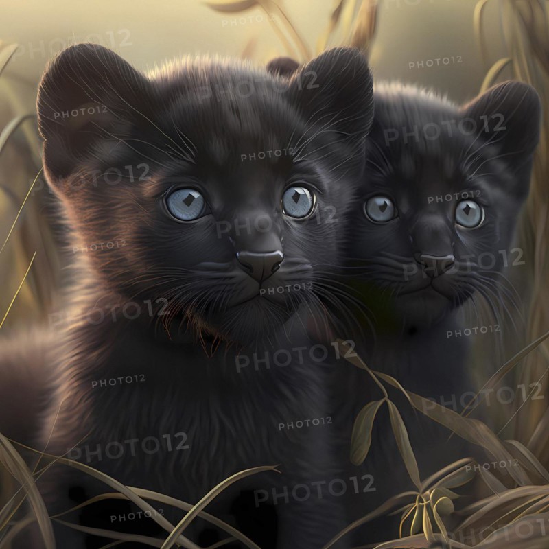 Black Panther