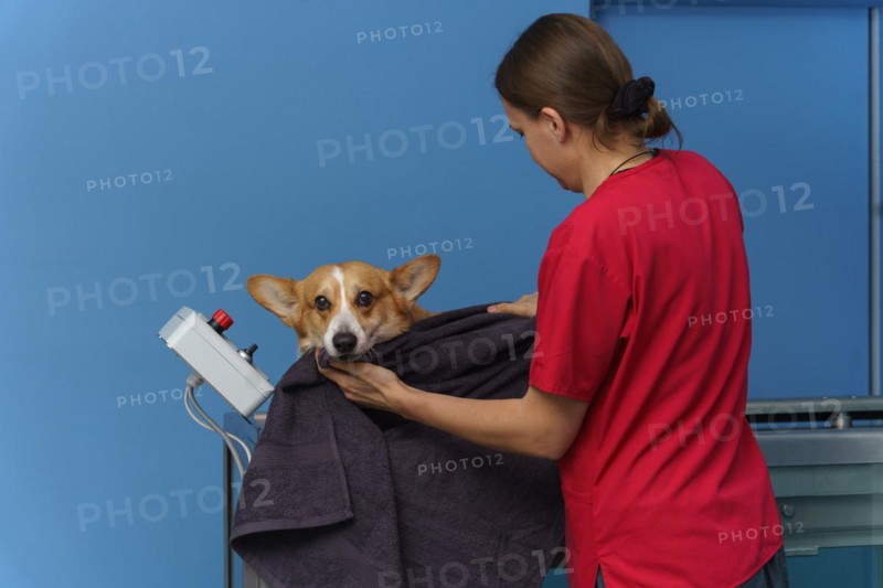 After rehabilitation on a water treadmill