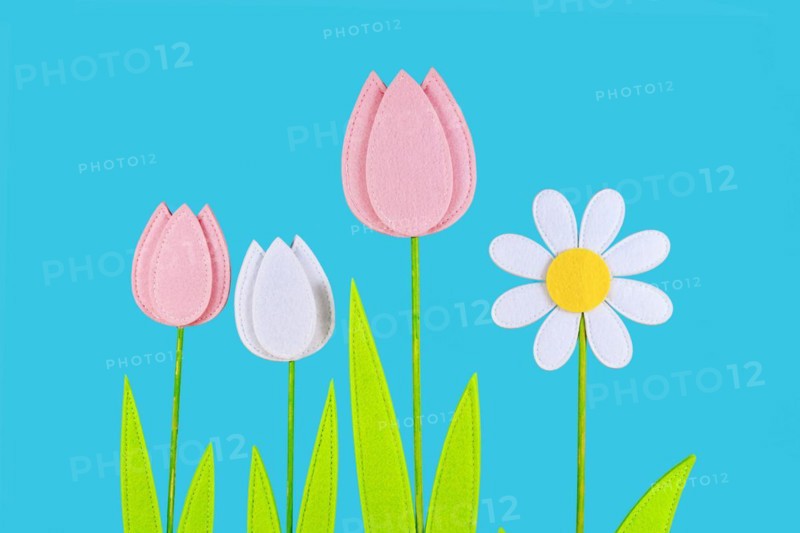 Felt tulip and daisy spring flowers on side of blue background