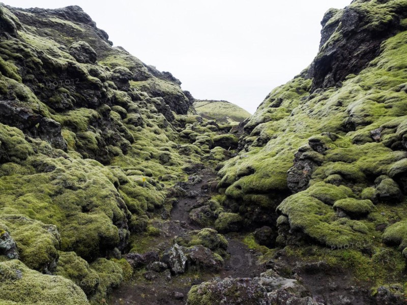 Moss-covered volcanic landscape