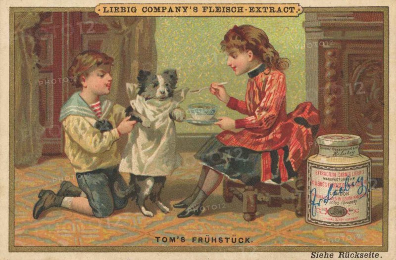 Picture series Childrens Scenes II