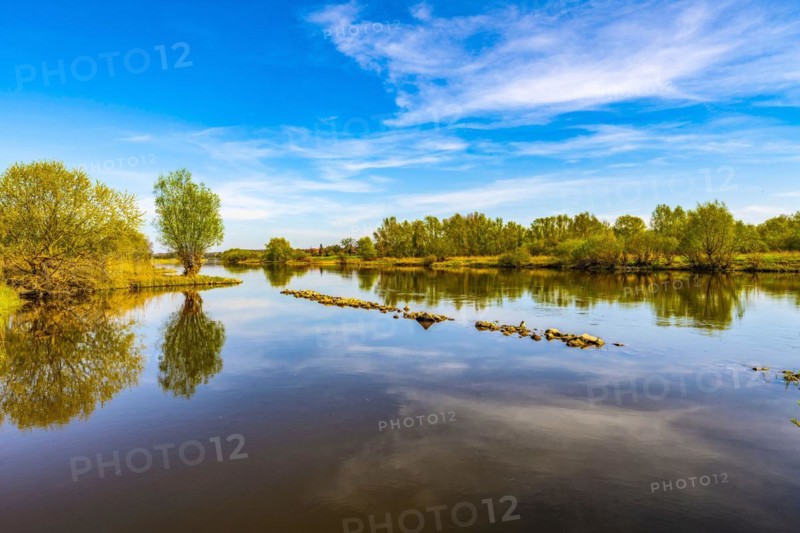 The river Weser near the Weserauen nature reserve