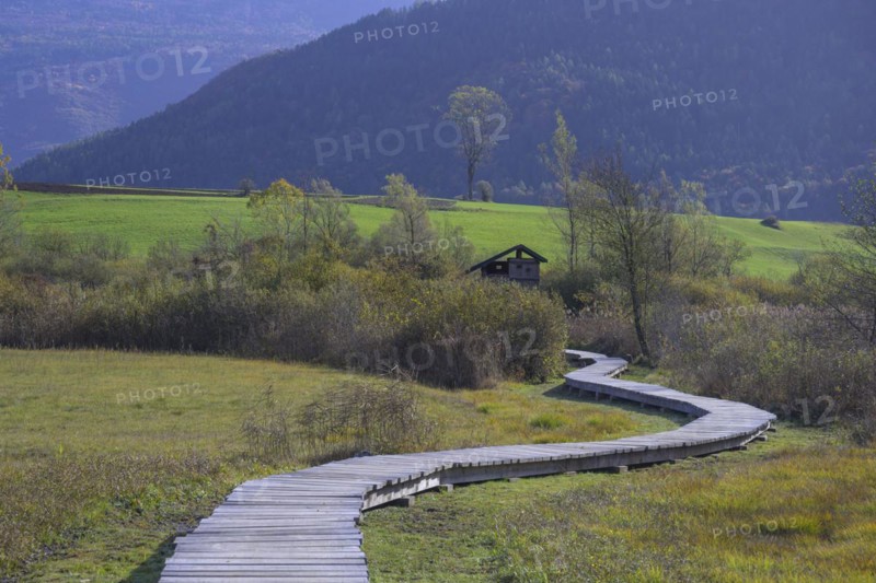 Nature trail at the pile-dwelling village of