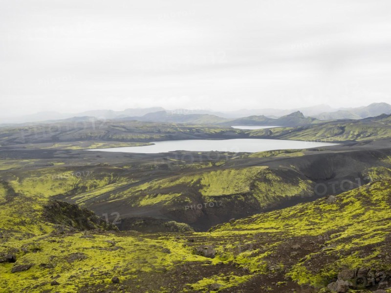 Moss-covered volcanic landscape