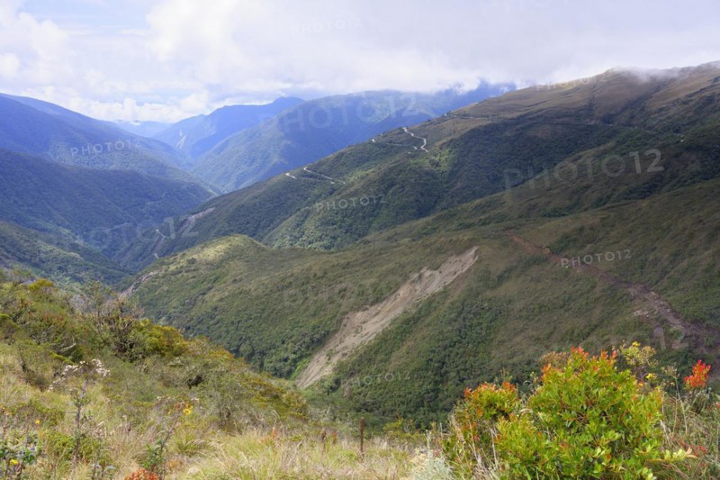 Tropical Cloud Forest landscape