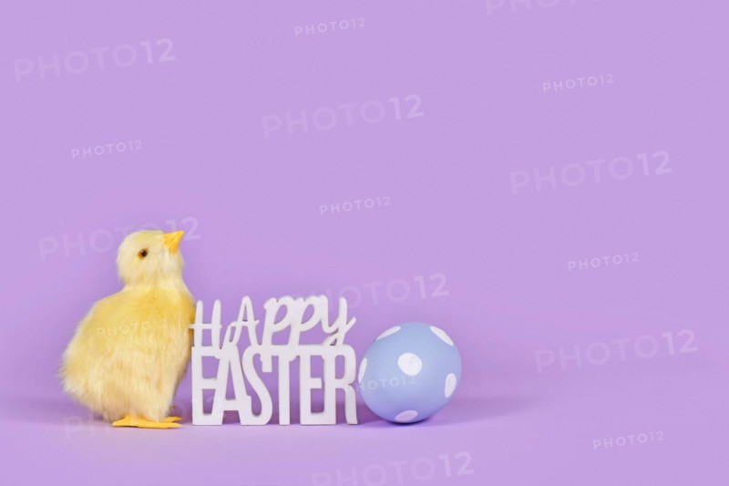 Decorative Easter chick