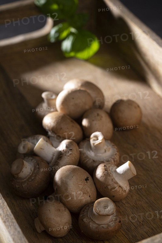 Fresh common mushrooms