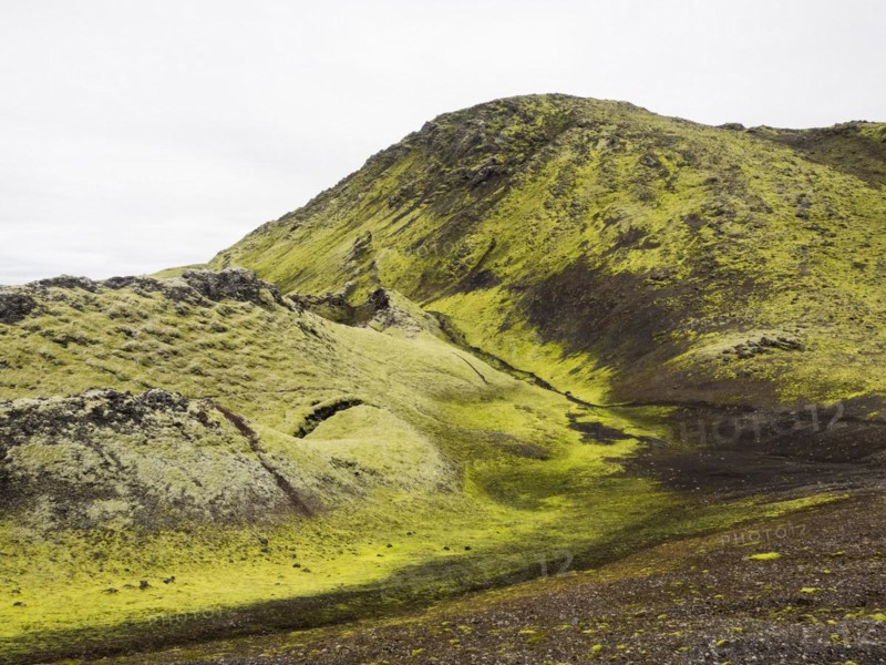 Moss-covered volcanic landscape