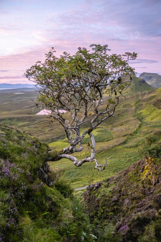 View of rocky landscape Quiraing at sunrise