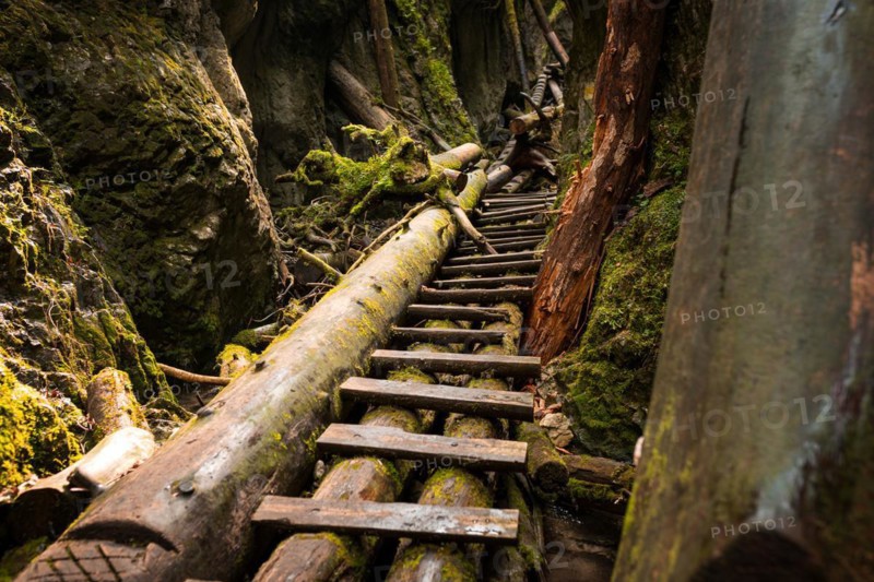 Wooden ladders over the stream in the gorges of the Slovak Paradise. Slovakia
