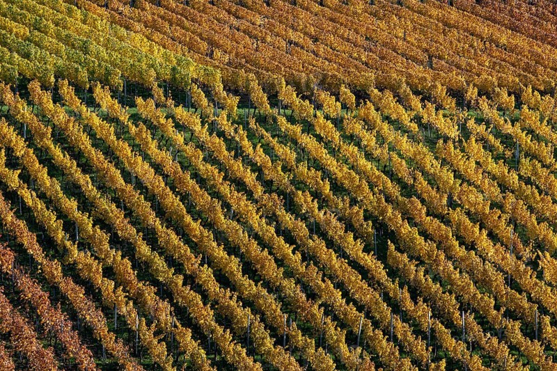 Drone image
