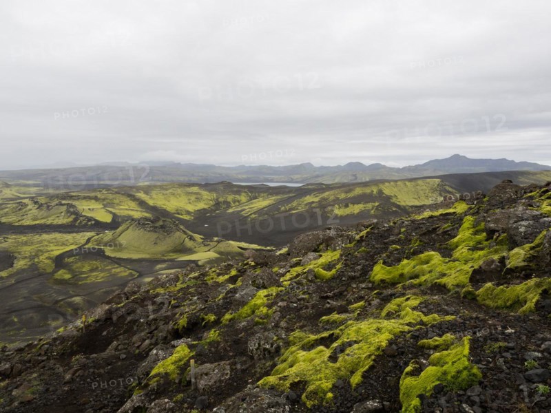 Moss-covered volcanic landscape