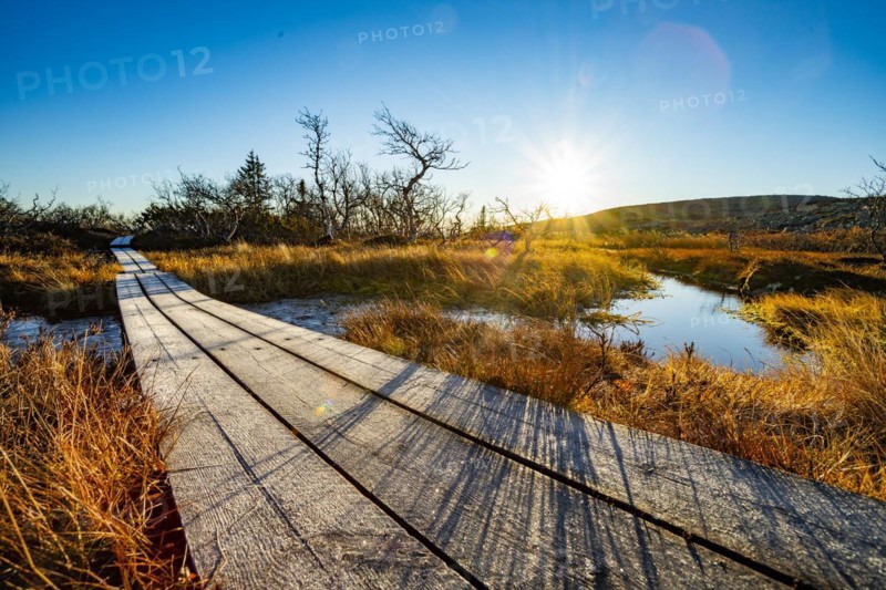 Hiking trail on the plateau in Fulufjaellet National Park