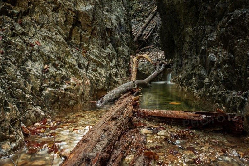 Beautiful gorge with water and trees in the water in the Slovak Paradise National Park. Slovakia