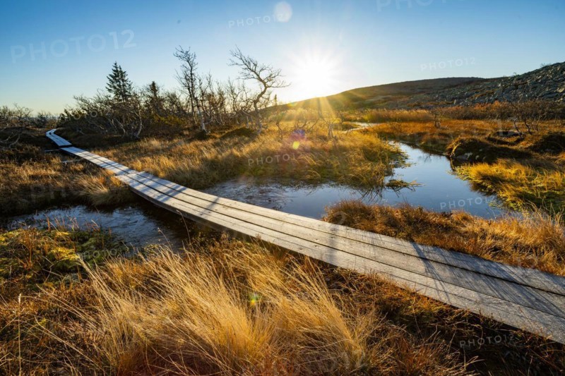 Hiking trail on the plateau in Fulufjaellet National Park