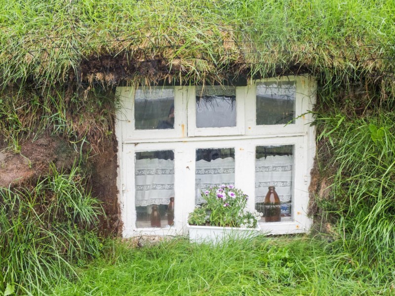 Window