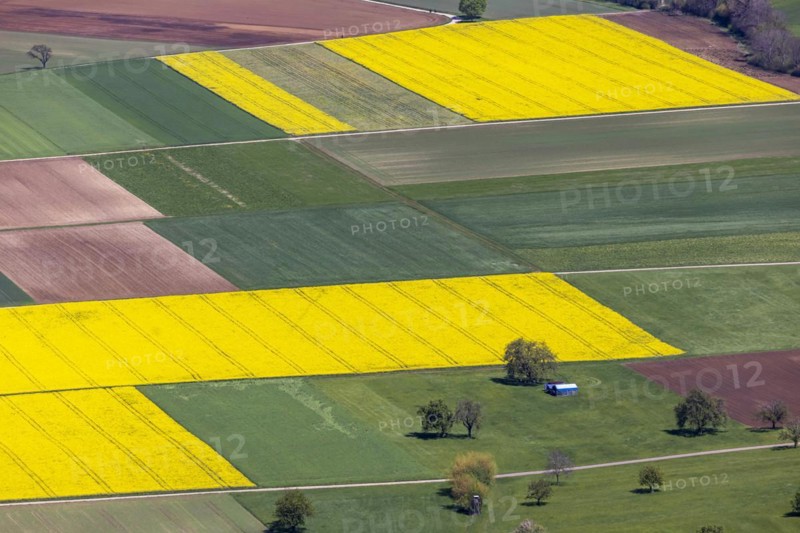 View from Breitenstein over the Alb foothills with agricultural meadows and flowering rape fields