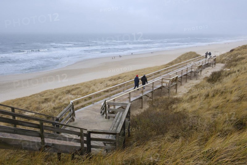 Wooden footbridge through the dunes to the beach