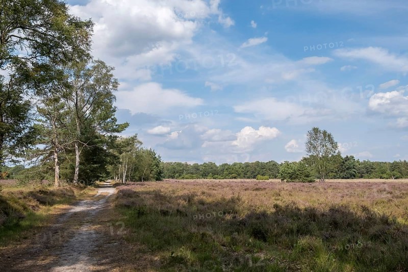 Buurserzand Nature Reserve