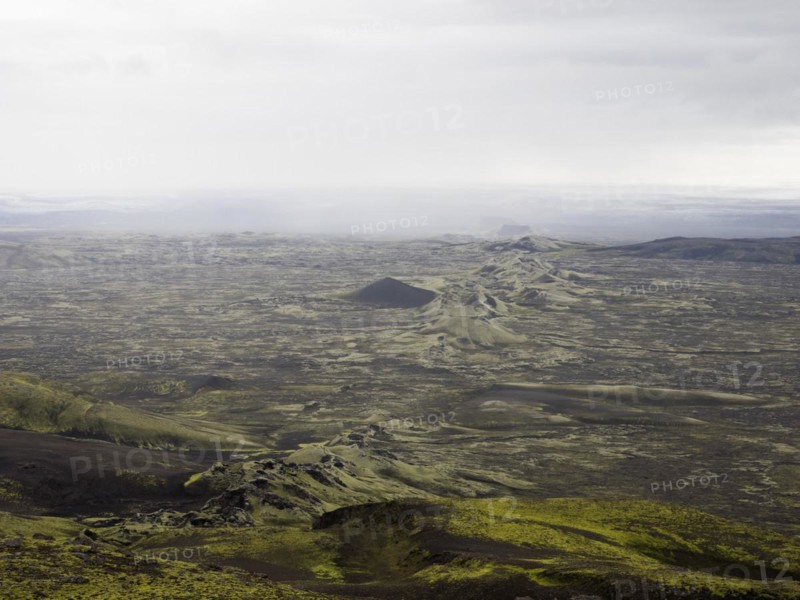 Mossy volcanic landscape