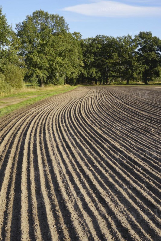 Grooves on a field. Germany