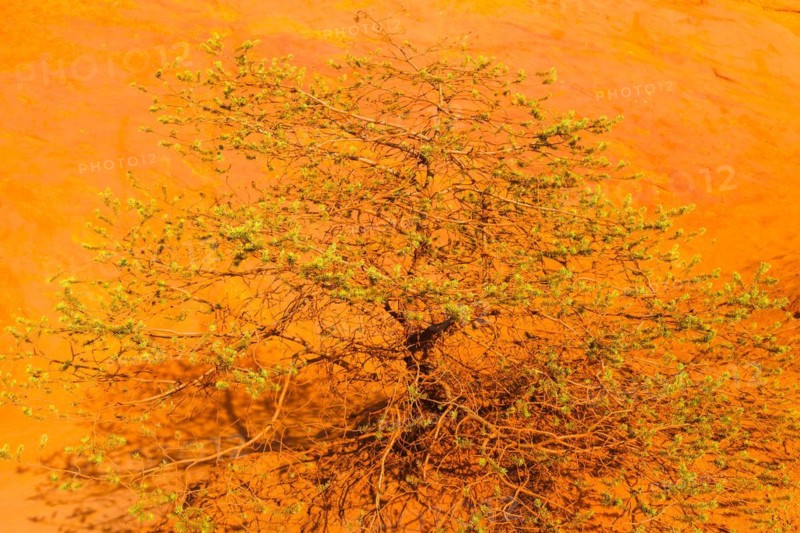 Le Colorada Provencal in Rustel