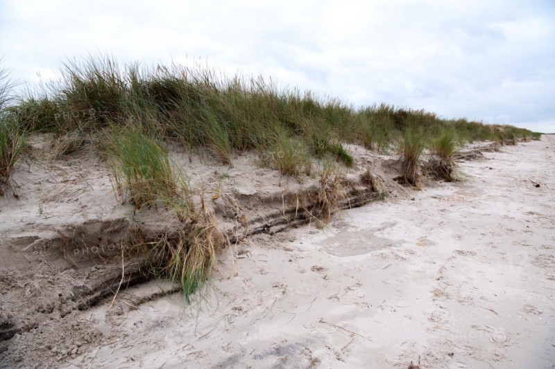 Natural beach in autumn