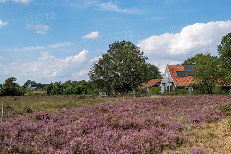 Buurserzand nature reserve