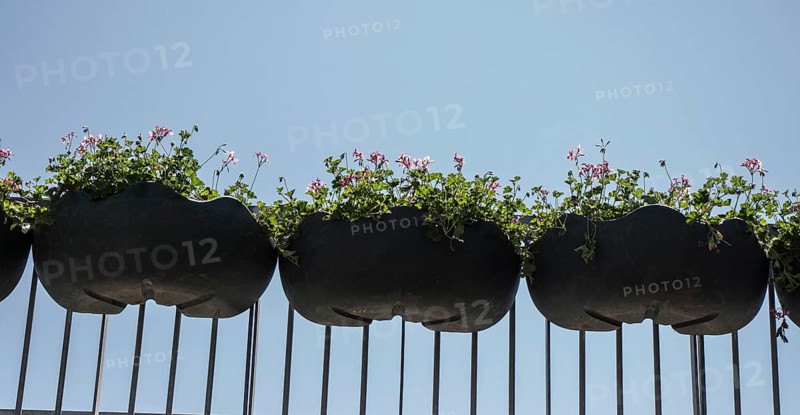 Fresh colorful Flowers put in vases at the florists