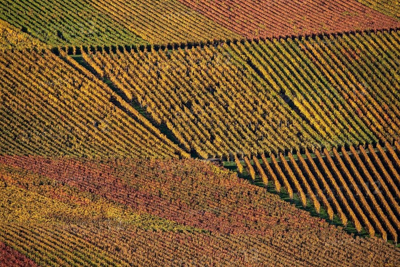 Drone image