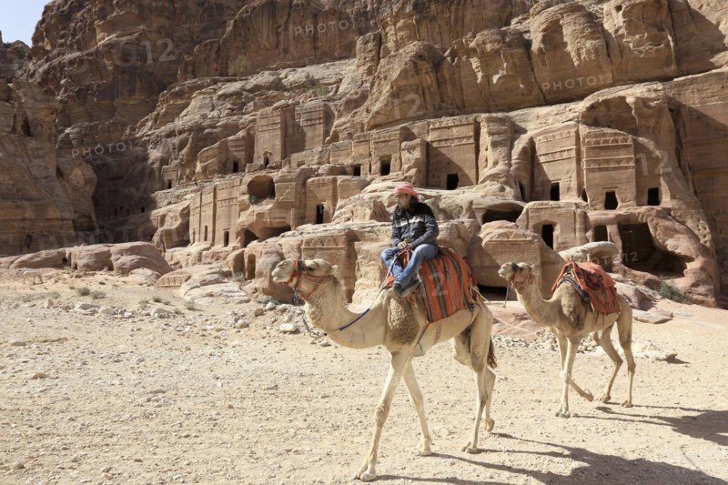 Bedouins with camels on horseback
