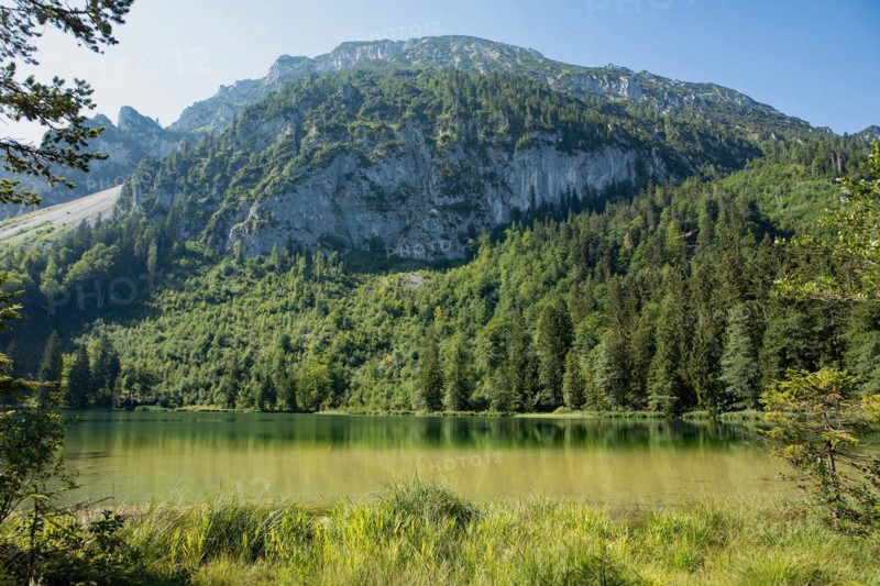 Frillensee water surface against a mountain backdrop with trees against a blue sky