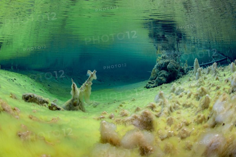 Underwater photo of the spring pool