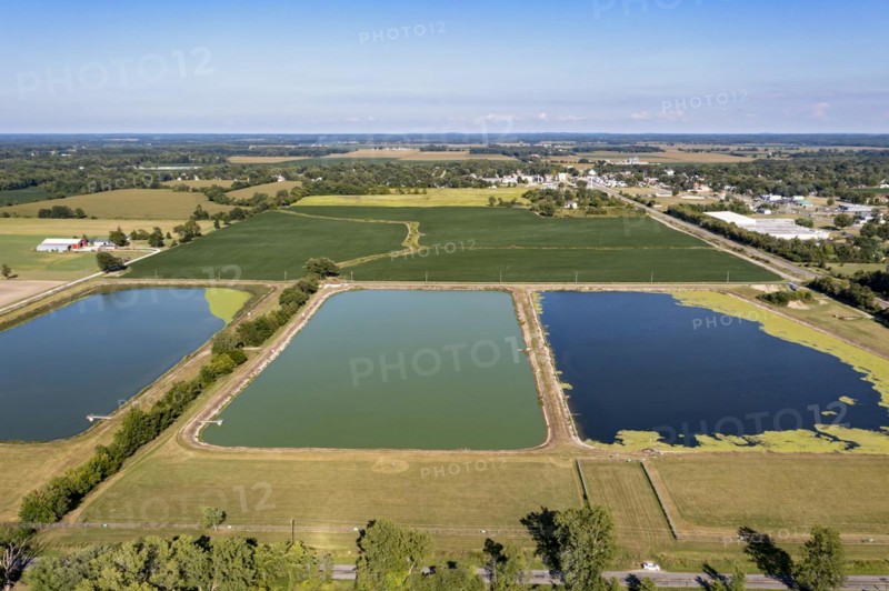 Three Oaks