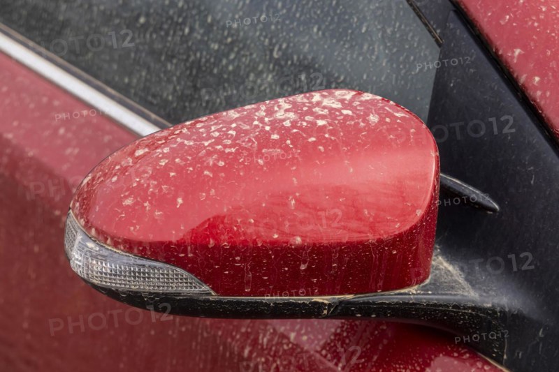 Sahara dust on car