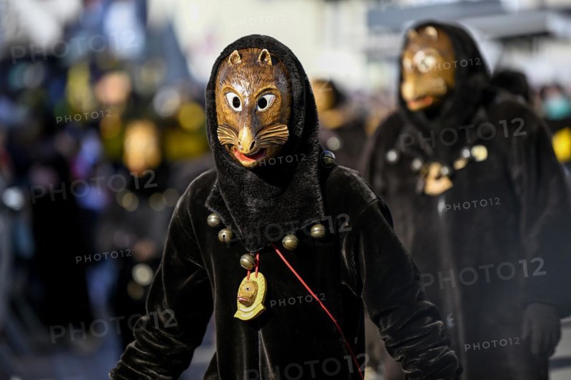 Fools Guild Biberach at the Great Carnival Parade