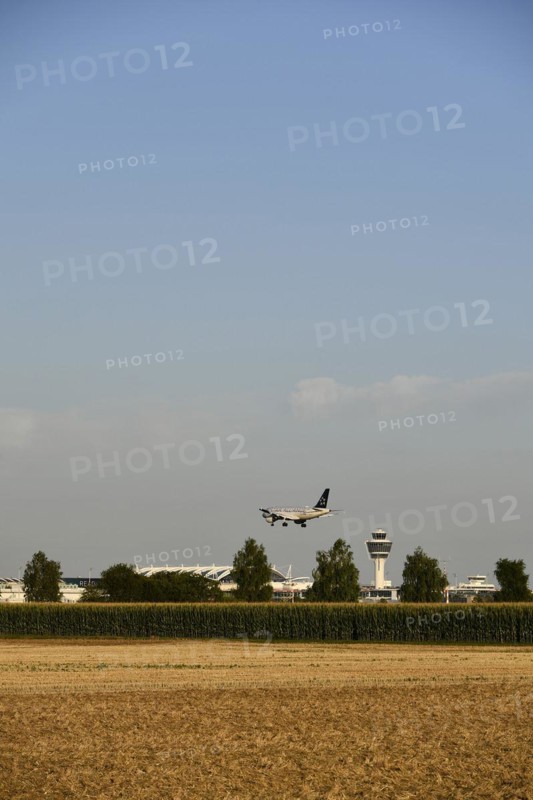 Star Alliance Airbus A320 landing on Runway North with Tower Munich Airport and cornfield in foreground