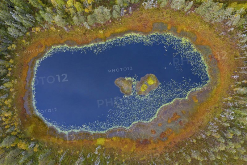 Aerial view over small pond with blue water in bog