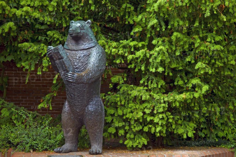 The Dancing Bear of Esens