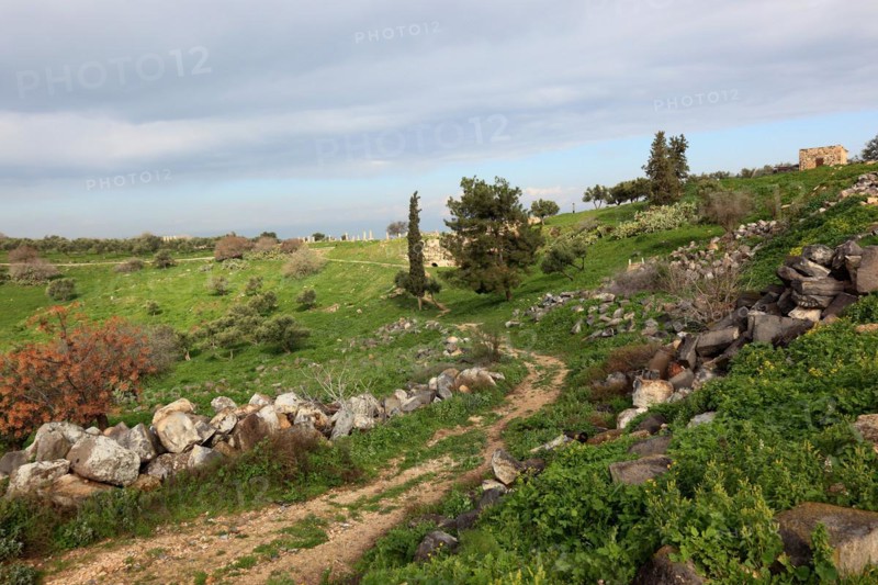 Gadara