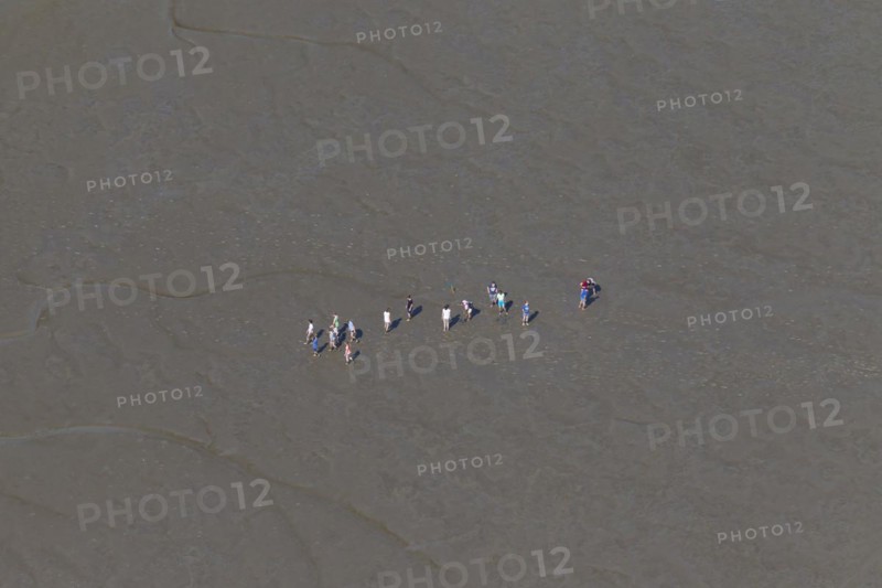 Aerial view over group of tourists walking with guide during guided tour on mudflat
