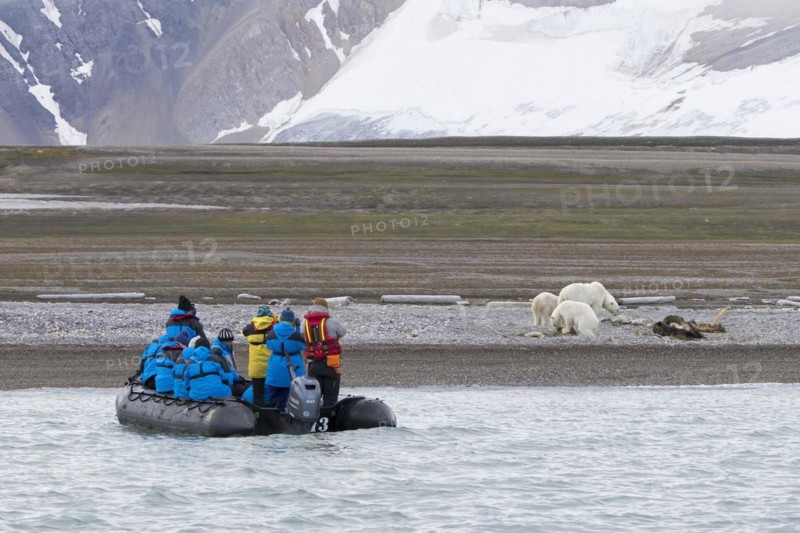 Eco-tourists in Zodiac boat watching scavenging polar bears